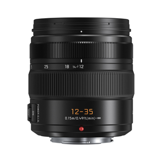 Panasonic Leica DG Vario-Elmarit 12-35mm f/2.8 ASPH. POWER O.I.S. Lens (Micro Four Thirds)