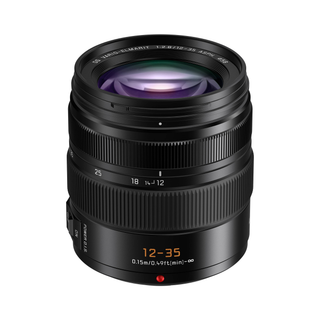 Panasonic Leica DG Vario-Elmarit 12-35mm f/2.8 ASPH. POWER O.I.S. Lens (Micro Four Thirds)