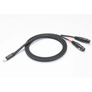 Custom Cable RJ45 - M&F XLR