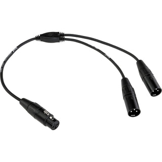 Kopul Y Cable XLR F to Dual XLR M