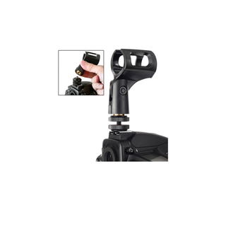 Auray 5/8" Male to 3/8" & 1/4"-20 Female Combo Reversible Thread Adapter (Brass)