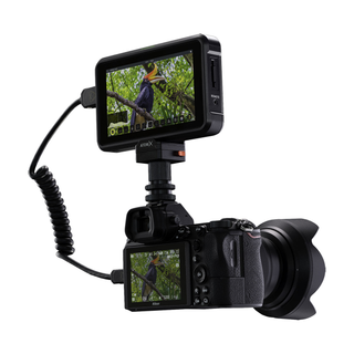 Atomos Shinobi 5" 4K HDMI Monitor
