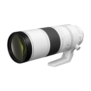Canon RF 200-800mm f/6.3-9 IS USM Lens (Canon RF)