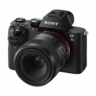 Sony FE 50mm f/2.8 Macro Lens