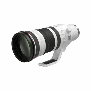 Canon RF 100-300mm f/2.8 L IS USM Lens