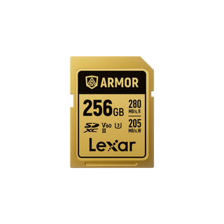 Lexar SD ARMOR Gold 256GB