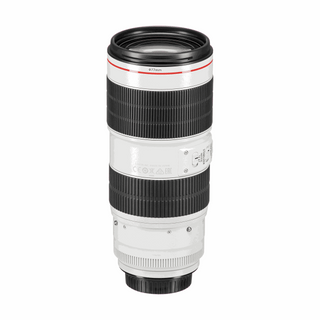 Canon EF 70-200mm f/2.8L IS III USM Lens