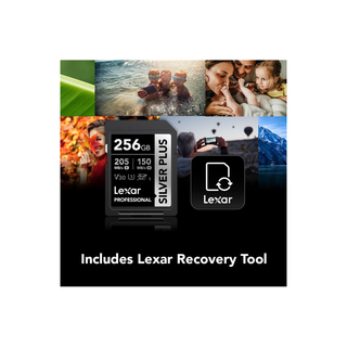 Lexar 256GB Professional SILVER PLUS UHS-I SDXC Memory Card