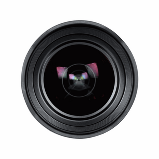 Sony FE 12-24mm f/4 G Lens