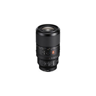 Sony FE 100mm f/2.8 Macro GM Lens