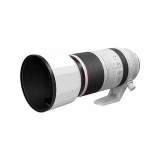Canon RF 100-500mm F4.5-7.1 L IS USM